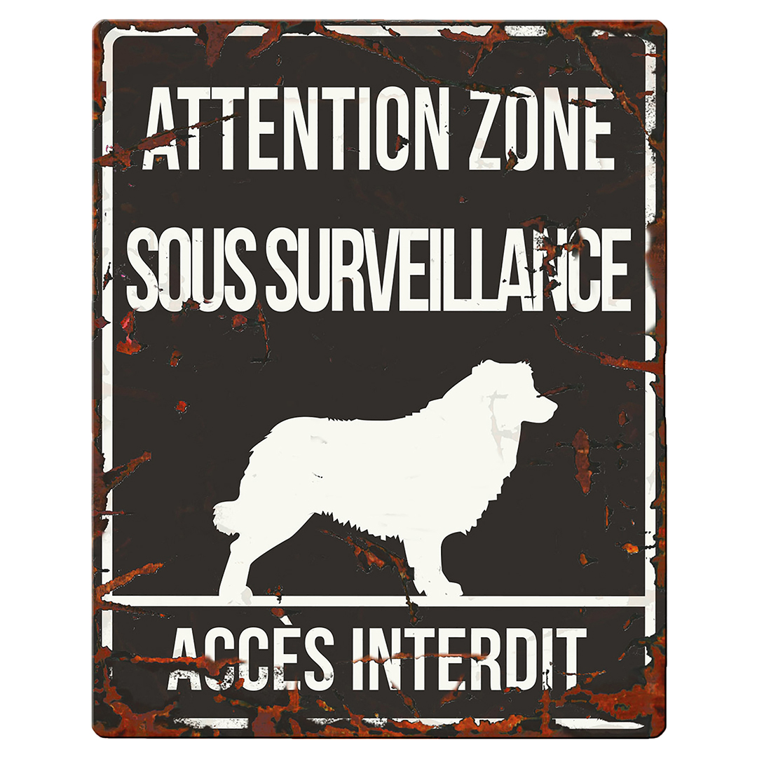 Warning sign square collie f black - Product shot