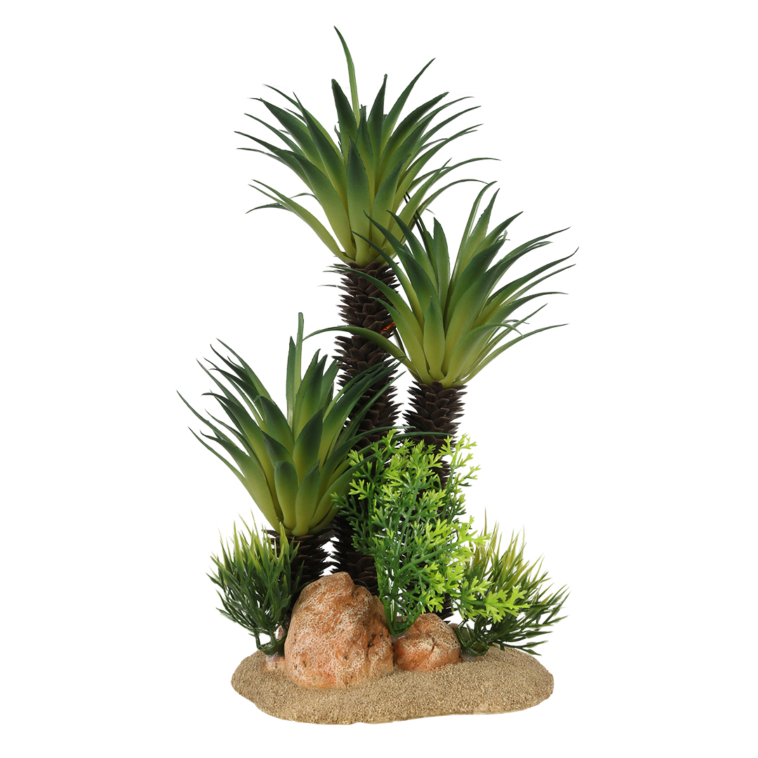 Sago Palm - <Product shot>