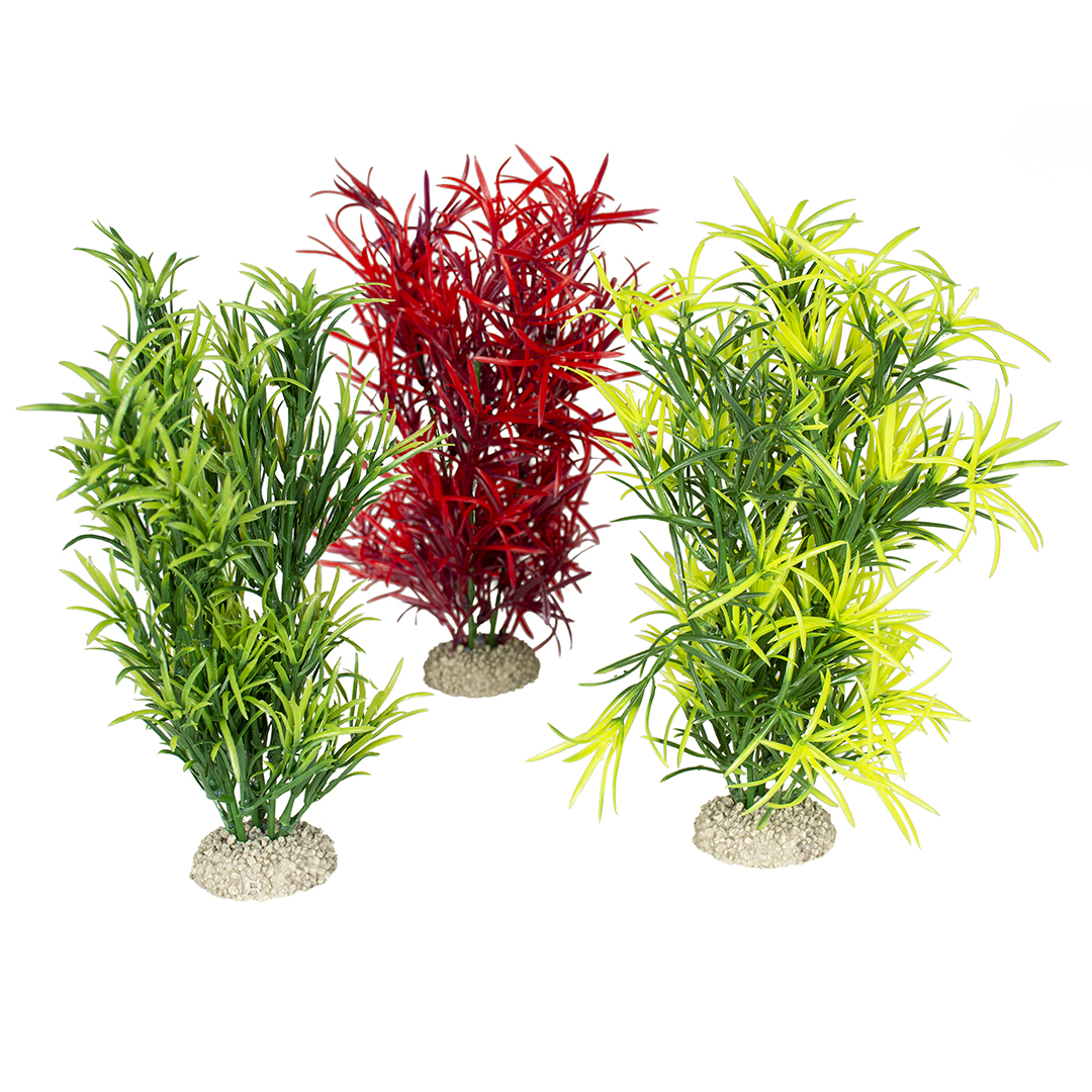 Plant hydrilla mixed colors - Product shot