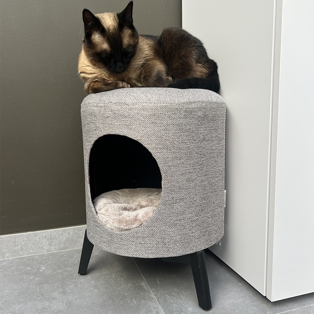 Louis cat house taupe - Sceneshot 2