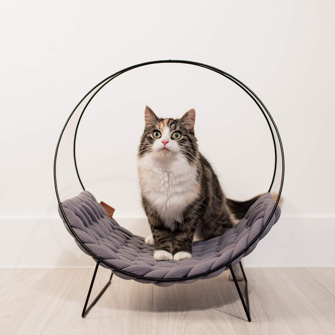 Quincy cat bed grey - Sceneshot