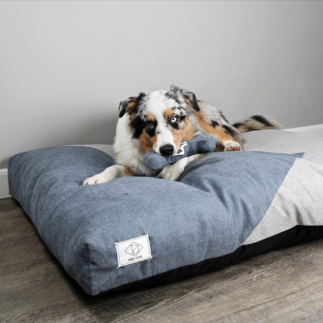 Maddy dog cushion blue/grey - Sceneshot