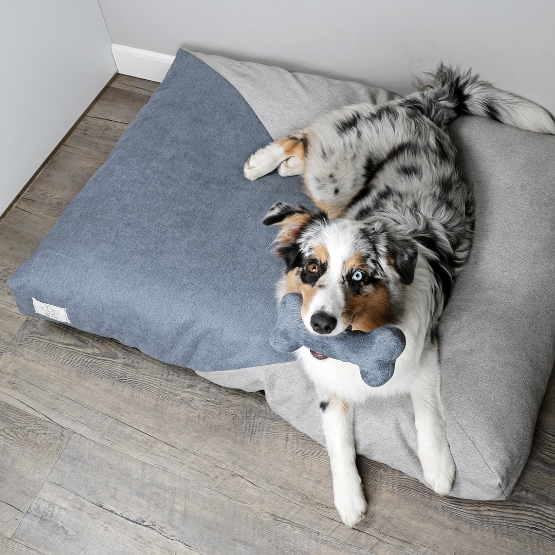 Maddy dog cushion blue/grey - Sceneshot 2