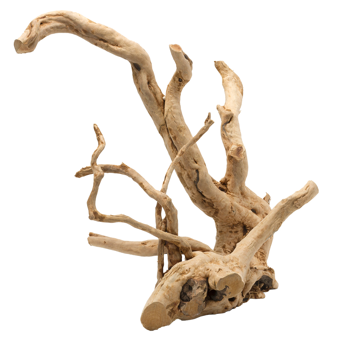 Driftwood gepolijst bruin - <Product shot>
