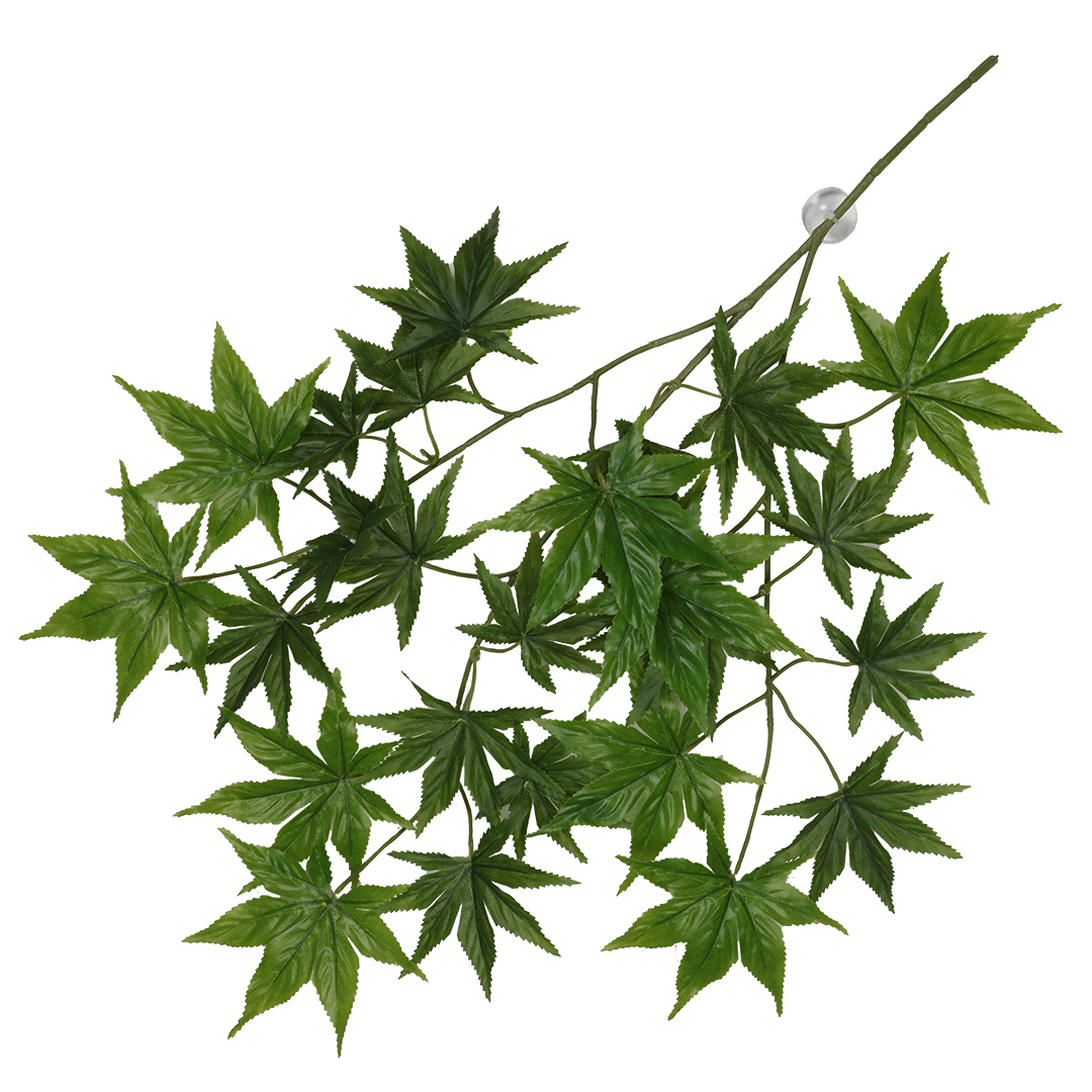 Hangende plant cannabis groen - Product shot