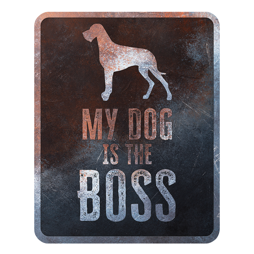 Waarschuwingsbord danish dog engels meerkleurig - Product shot