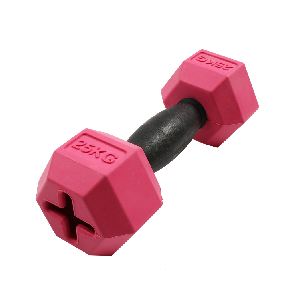 For the gainz - dumbbell dog toy - <Product shot>