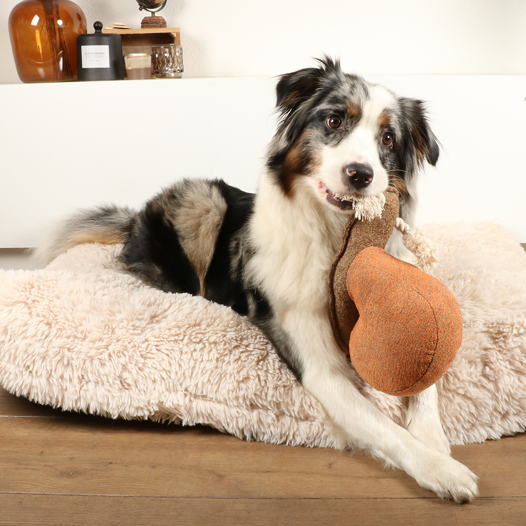 Sheldon chenille hundespielzeug braun - Sceneshot