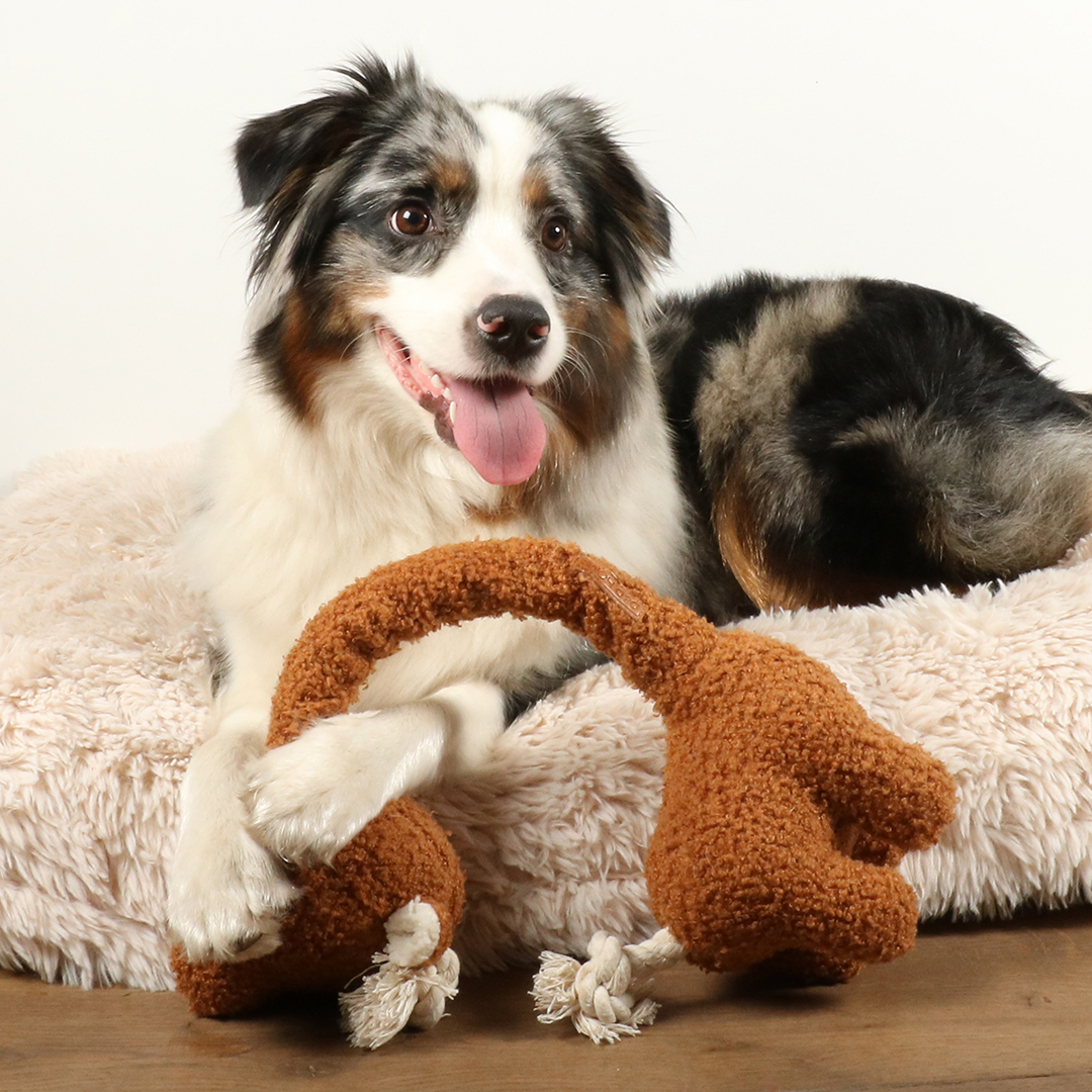 George teddy fabric dog toy brown - Sceneshot