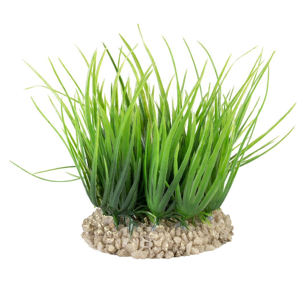 Helanthium groen - Facing