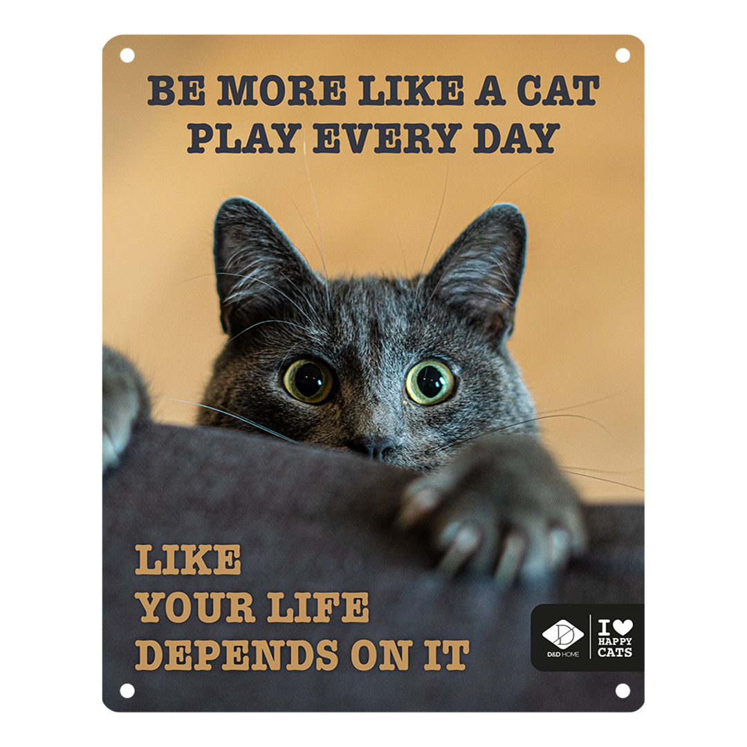 I love happy cats sign 'play every day' multicolour - Product shot