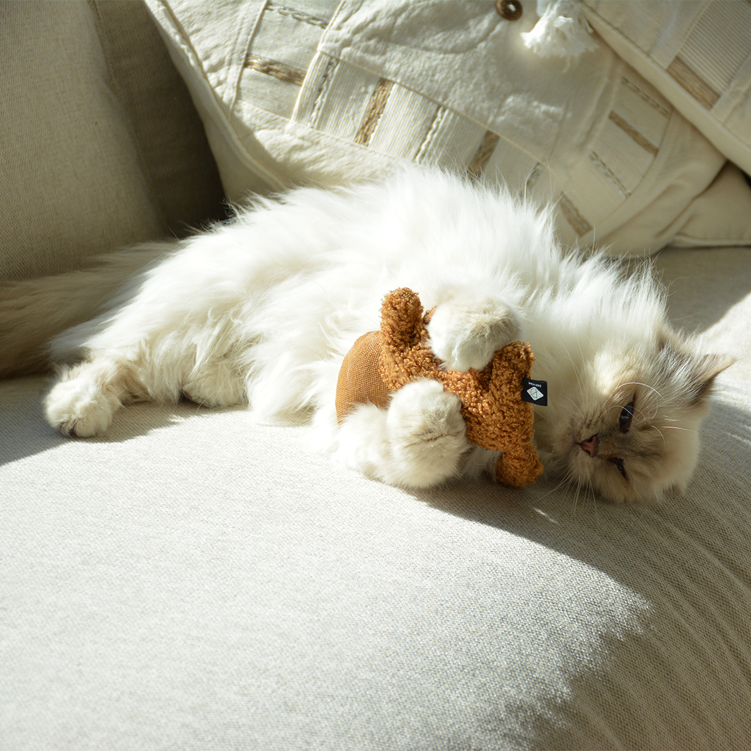 Zoey - refillable cat kicking cushion brown - Sceneshot 2