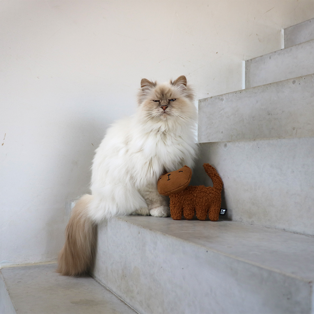 ZOEY - nachfüllbares Katzen-Tretkissen braun - Sceneshot 3