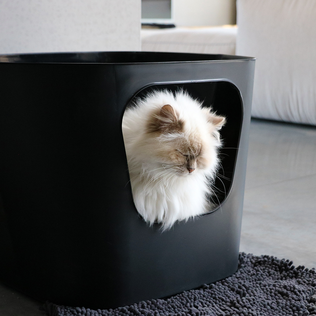 Dean – toilette ouvert pour chat recyclé noir - Sceneshot