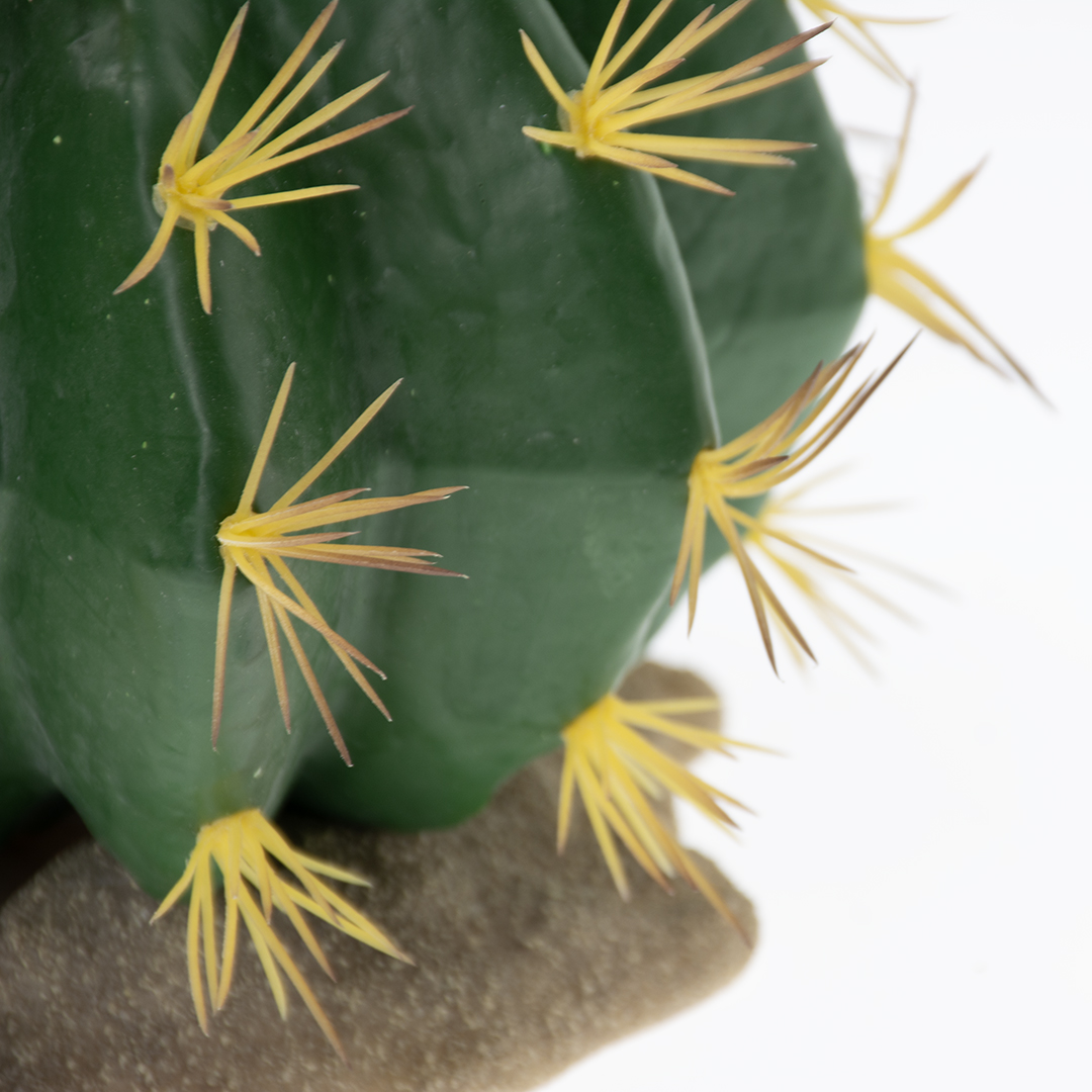 Echinocactus 1 vert - Detail 2