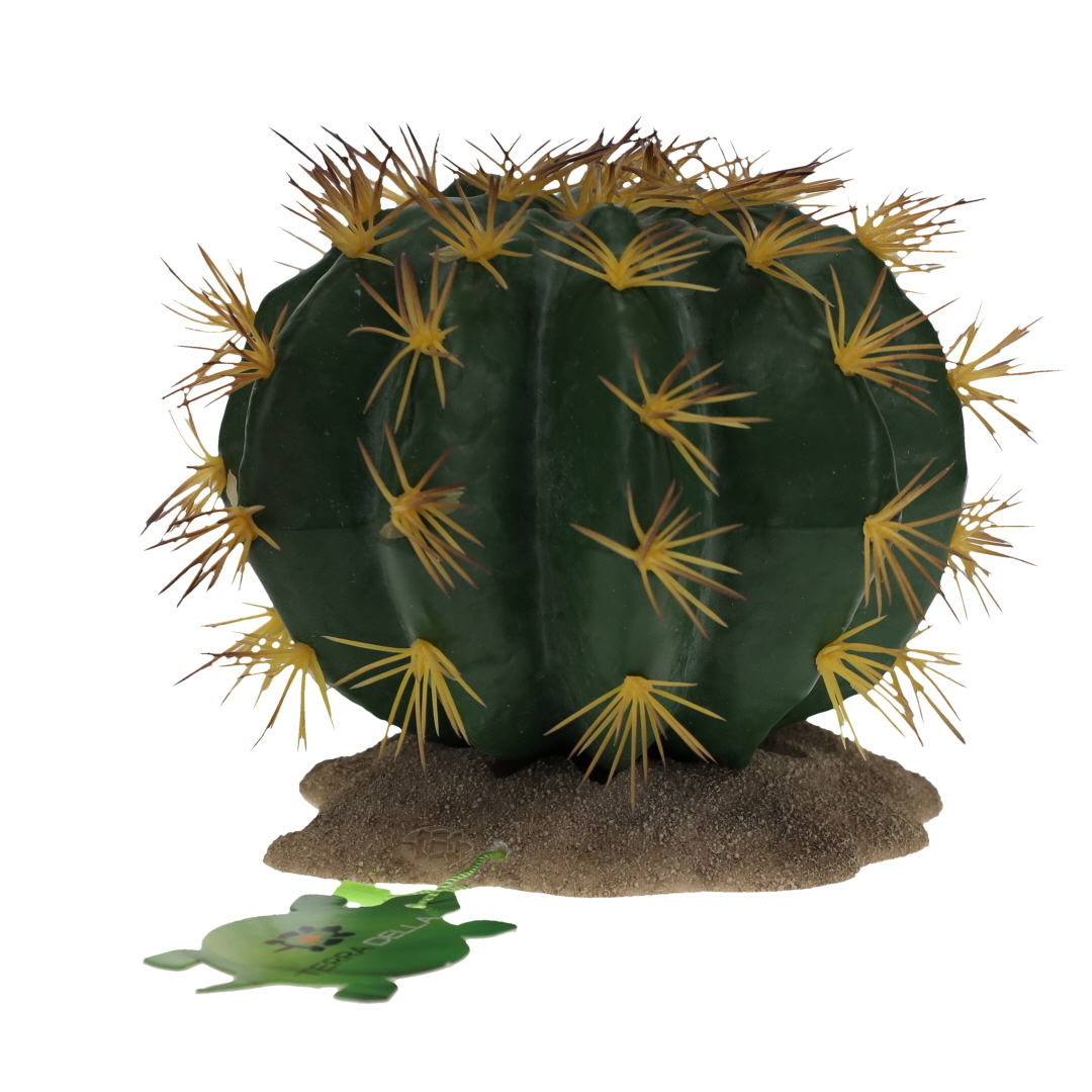 Echinocactus 1 green - Verpakkingsbeeld