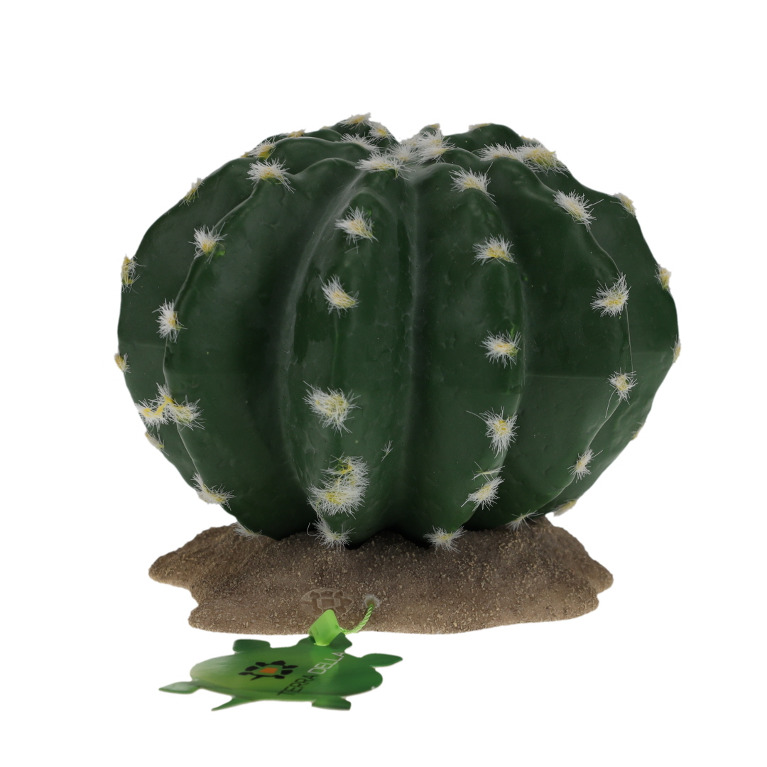 Echinocactus 2 green - Verpakkingsbeeld