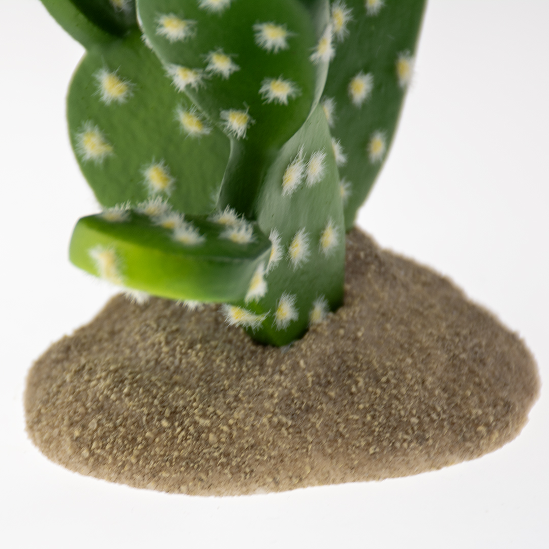Prickly pear cactus green - Detail 1