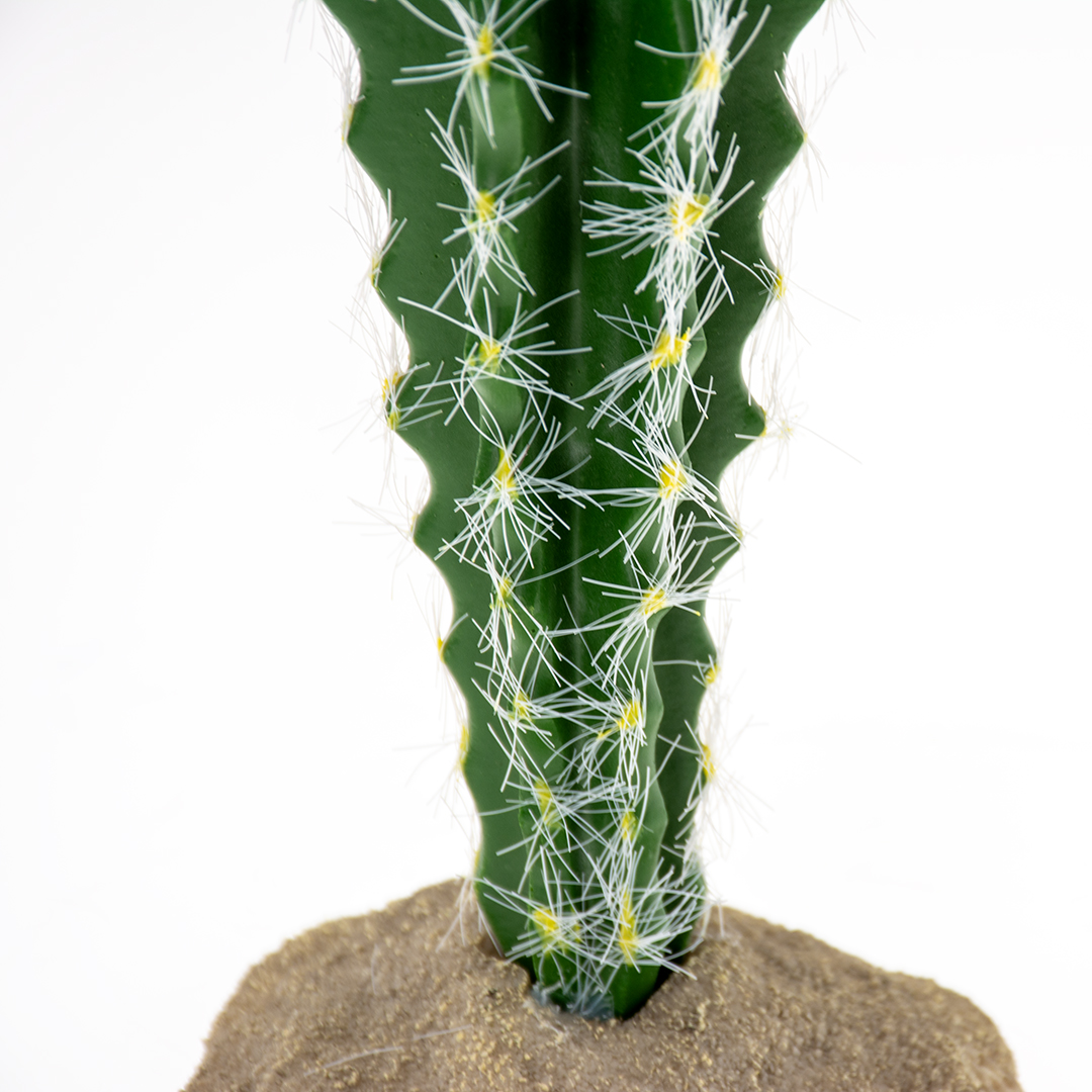 Cactus columnar 1 green - Detail 1