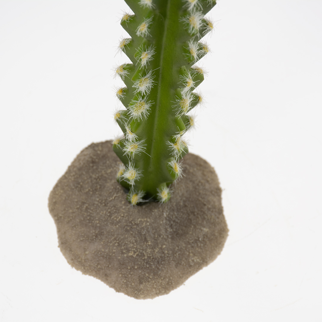 Cactus columnar 3 green - Detail 3