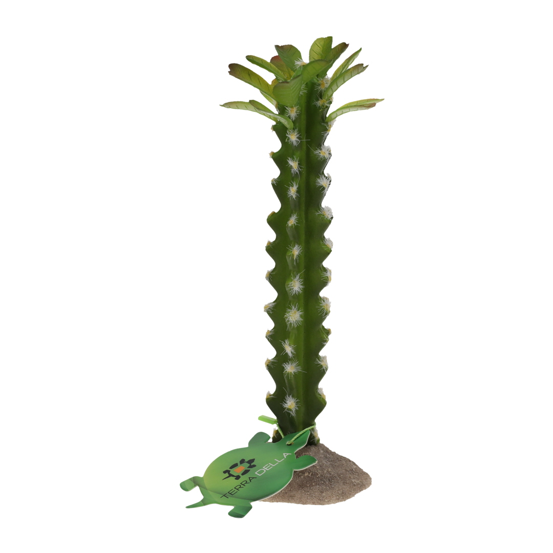 Cactus cylindrique 3 vert - Verpakkingsbeeld