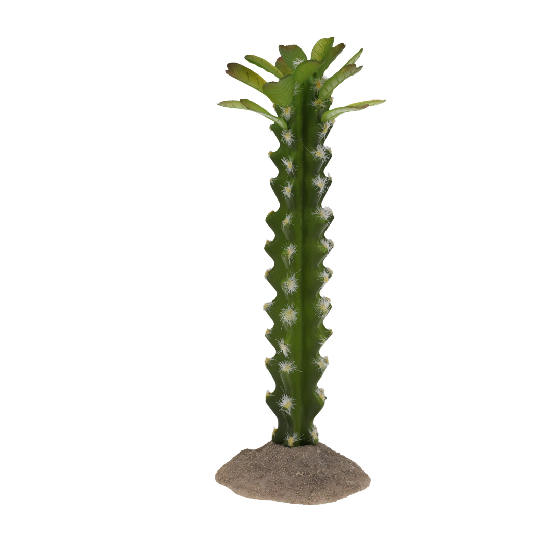 Cactus columnar 3 green - Product shot