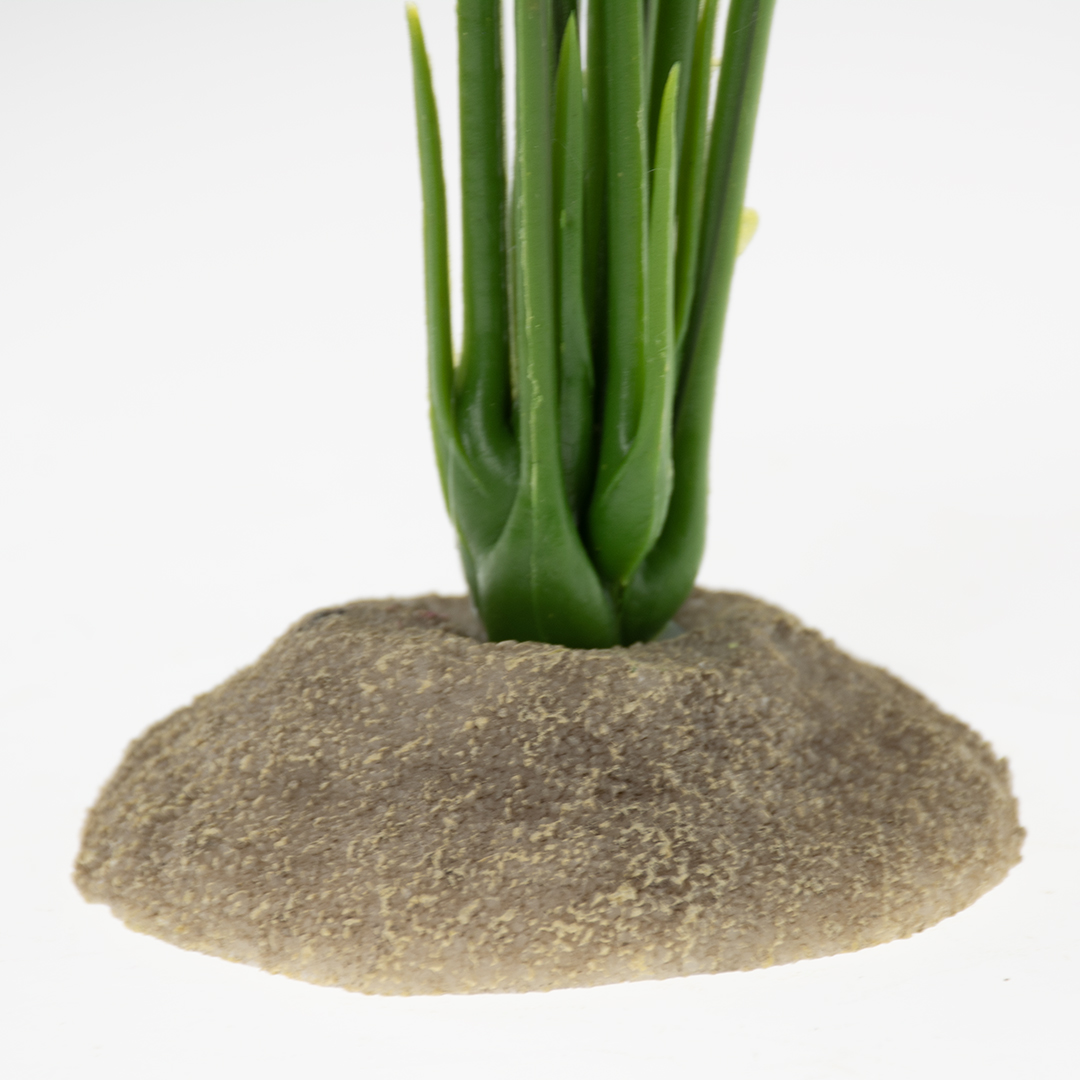 Anthurium groen - Detail 2