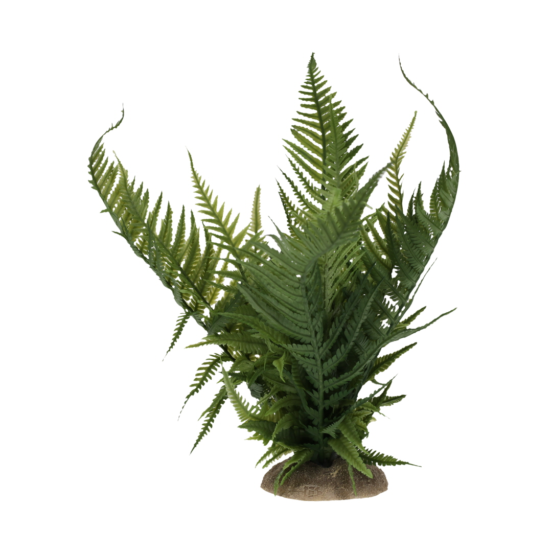 Fern green - <Product shot>