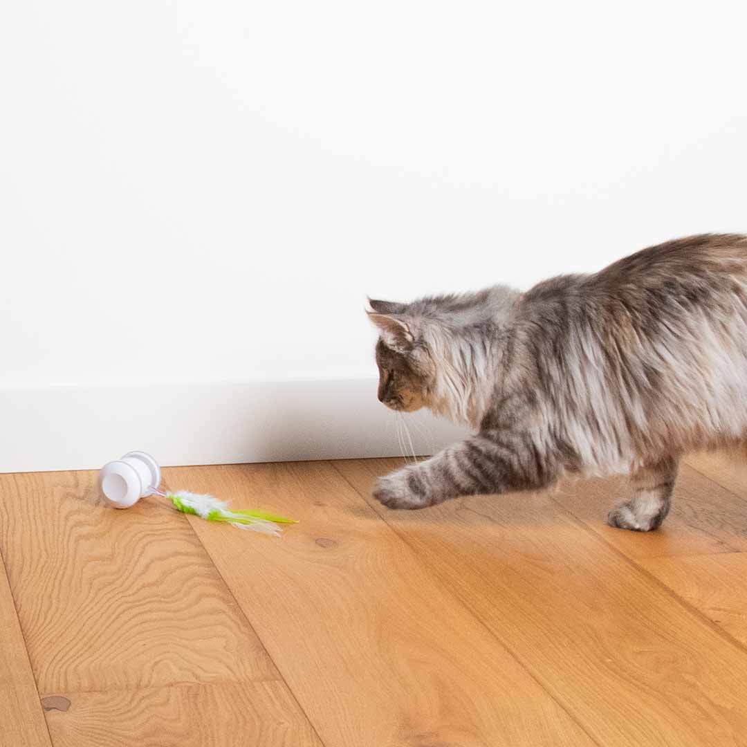 Kattenspeeltje Racing Roller wit - Sceneshot