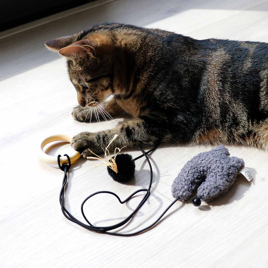 Bouncy bo kattenspeeltje meerkleurig - Sceneshot 2