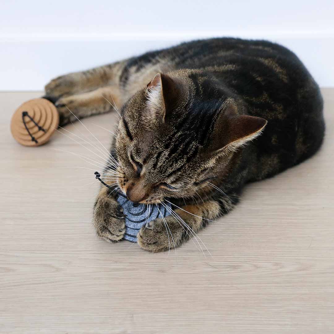 Yori vilten kattenspeeltje gemengde kleuren - Sceneshot