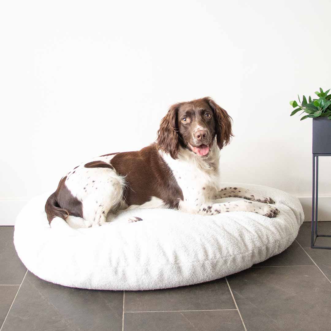 Pebble - coussin pour chiens blanc - Sceneshot