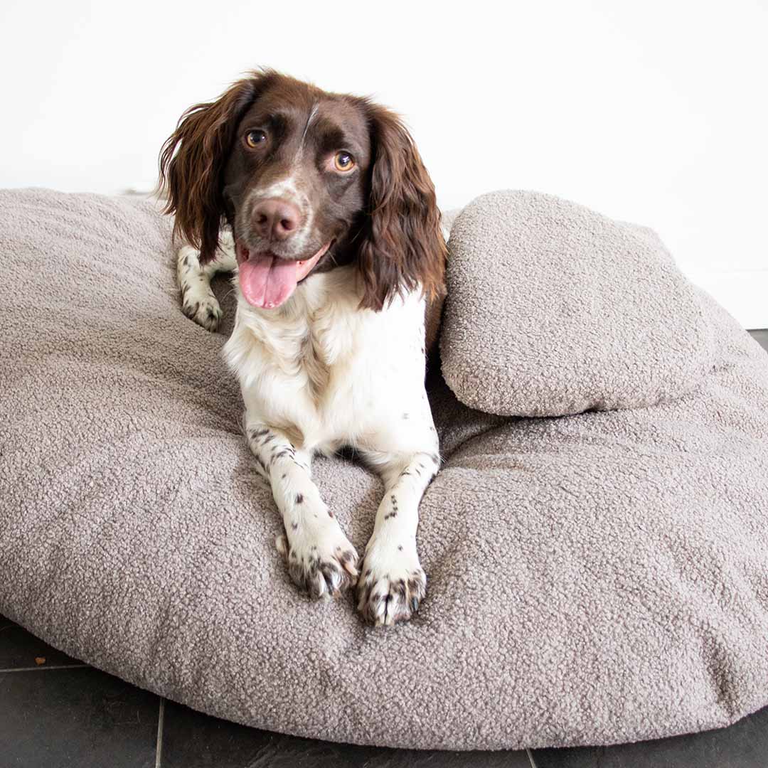 Pebble - coussin pour chiens taupe - Sceneshot 2