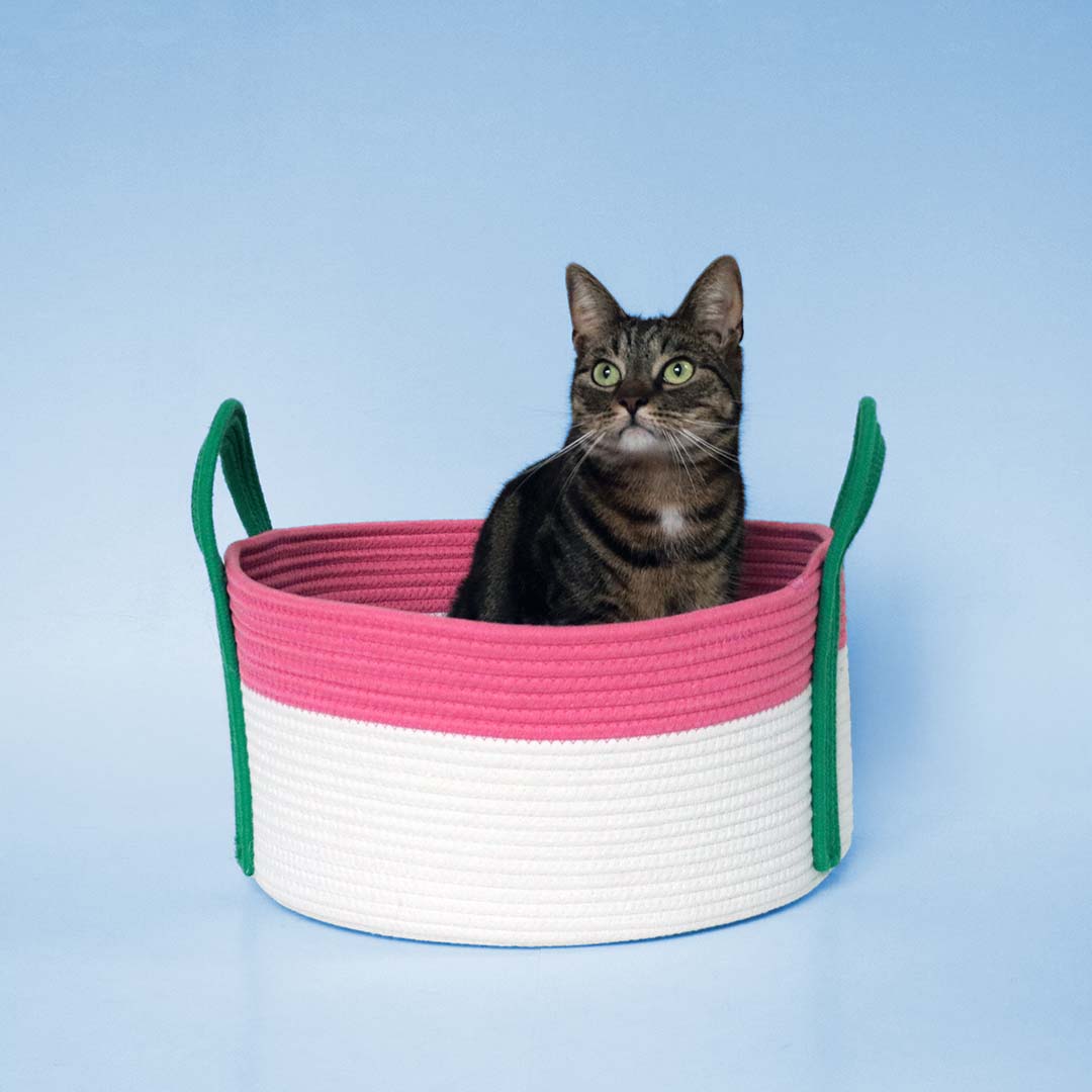 Kattenmand BINGE Roze/groen - Sceneshot