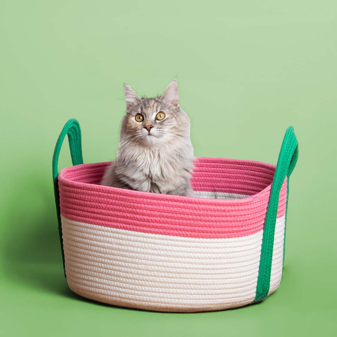 Kattenmand BINGE Roze/groen - Sceneshot 2