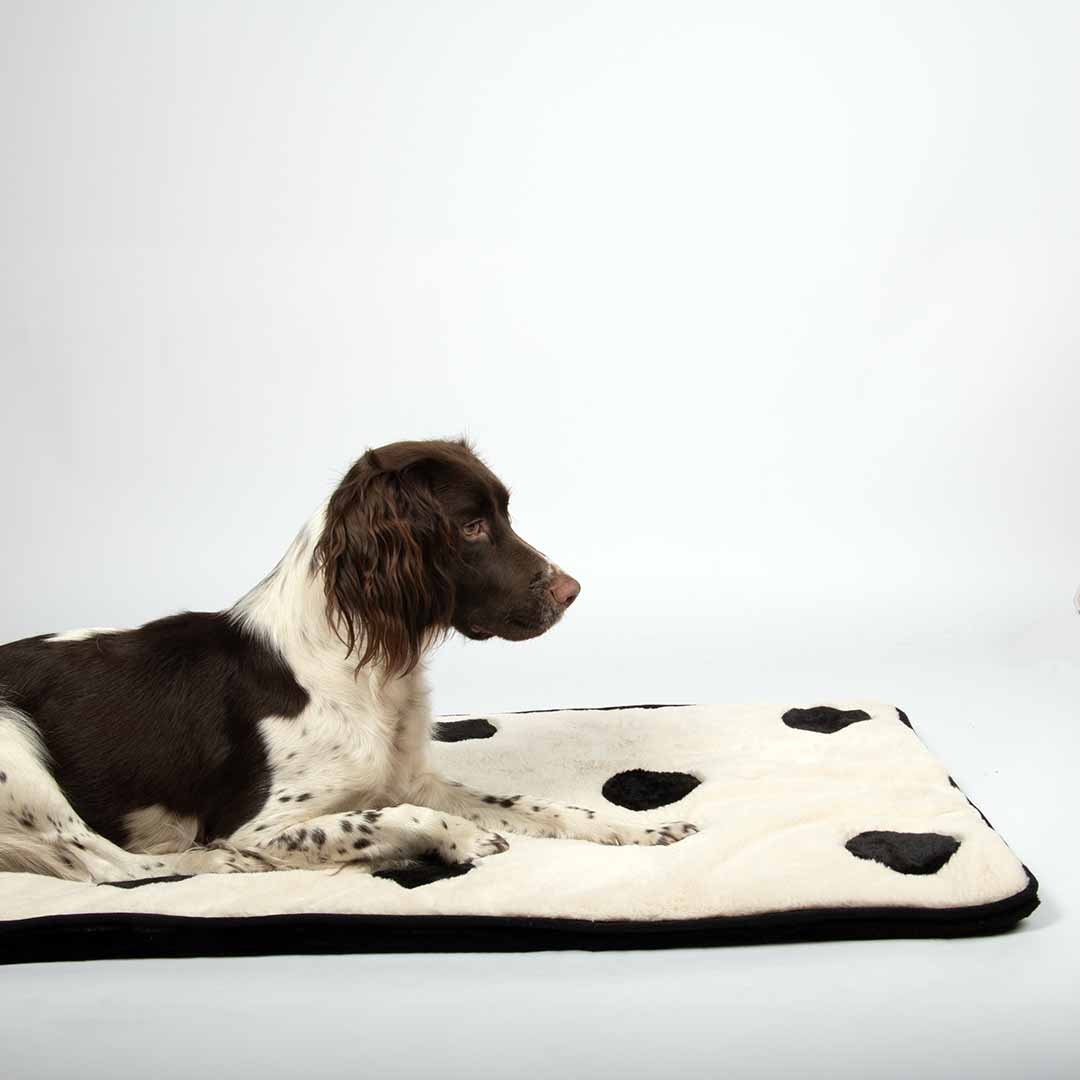 Couverture pour chien DOMINO DREAM Blanc/noir - Sceneshot 2