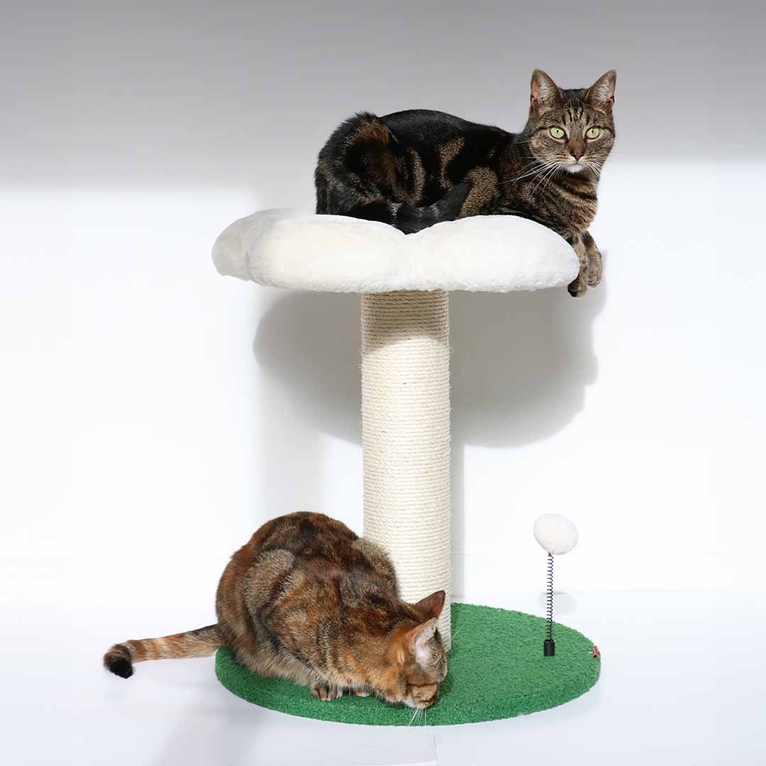 maus katzenspielzeug Natural Only Katzenspielzeug - Vibrierende Maus