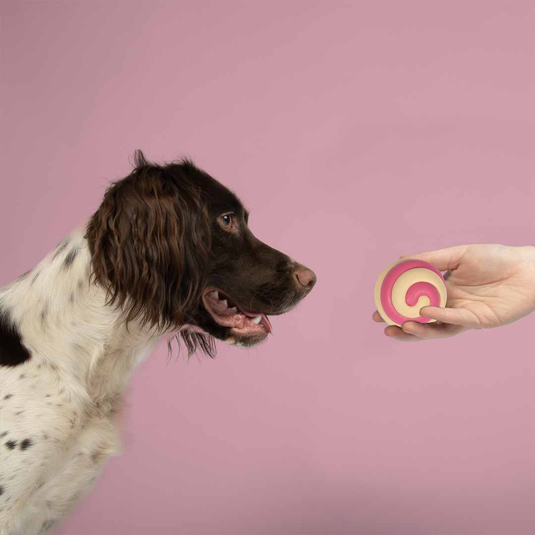 Dog toy berry swirl pink/beige - Sceneshot