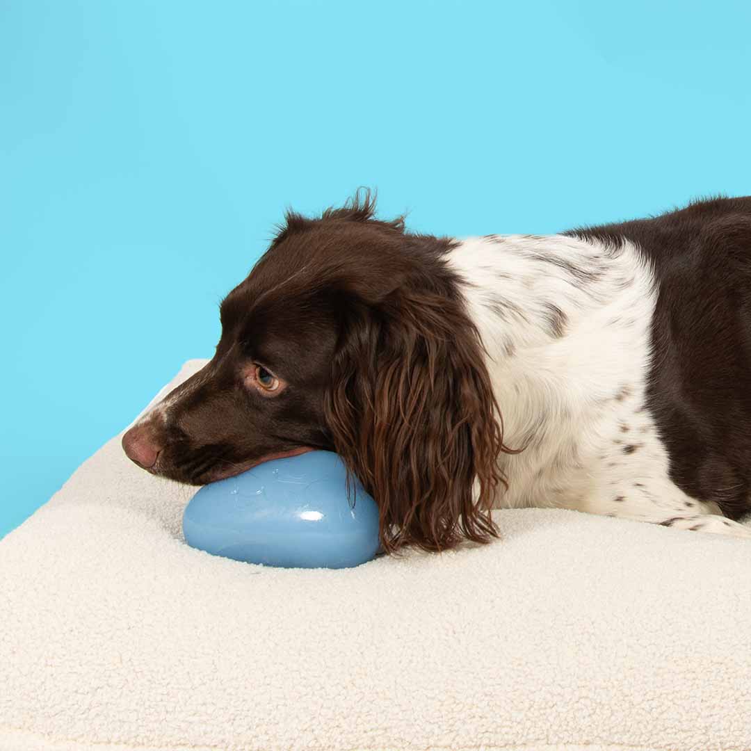 Jouet pour chien happy cloud bleu - Sceneshot