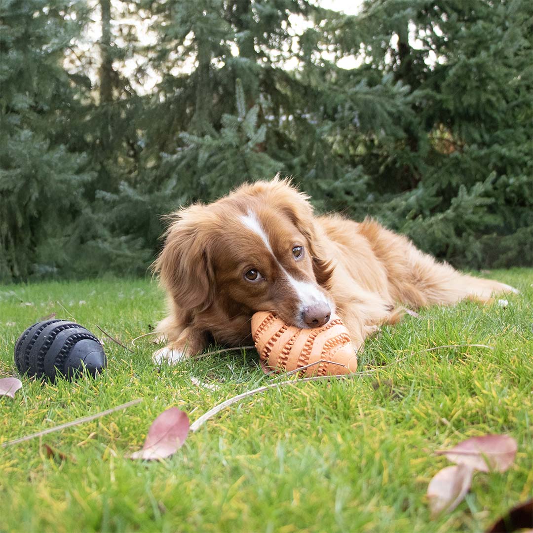 Snackspeeltje Nibble me Rugby Oranje - Sceneshot 2