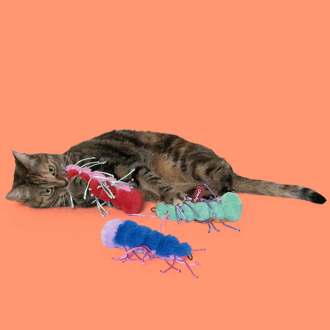 Jouet pour chat RAZZLE RUBY Couleurs mélangées - Sceneshot 2