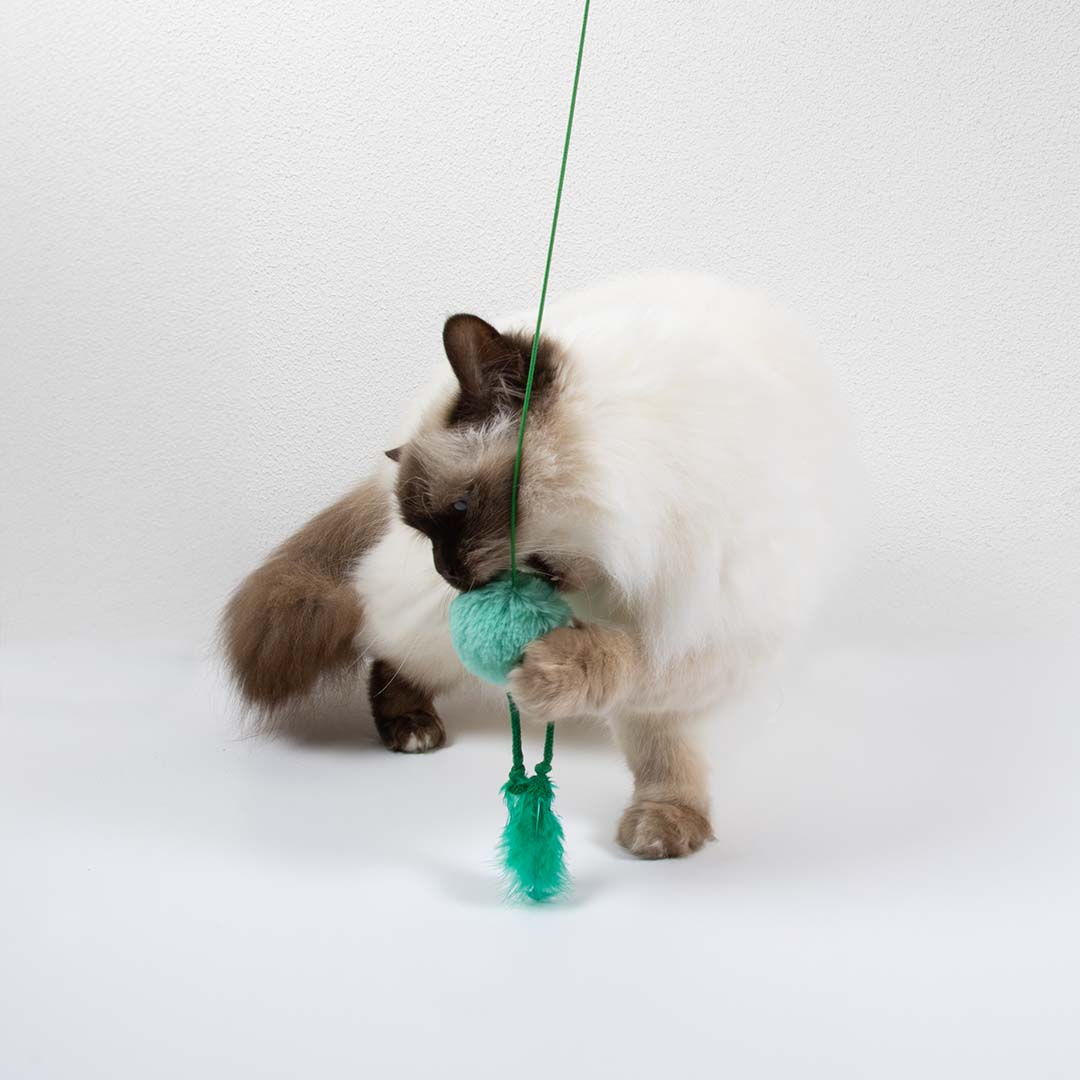 Jouet pour chat JUMPING JUMPY Couleurs mélangées - Sceneshot 2
