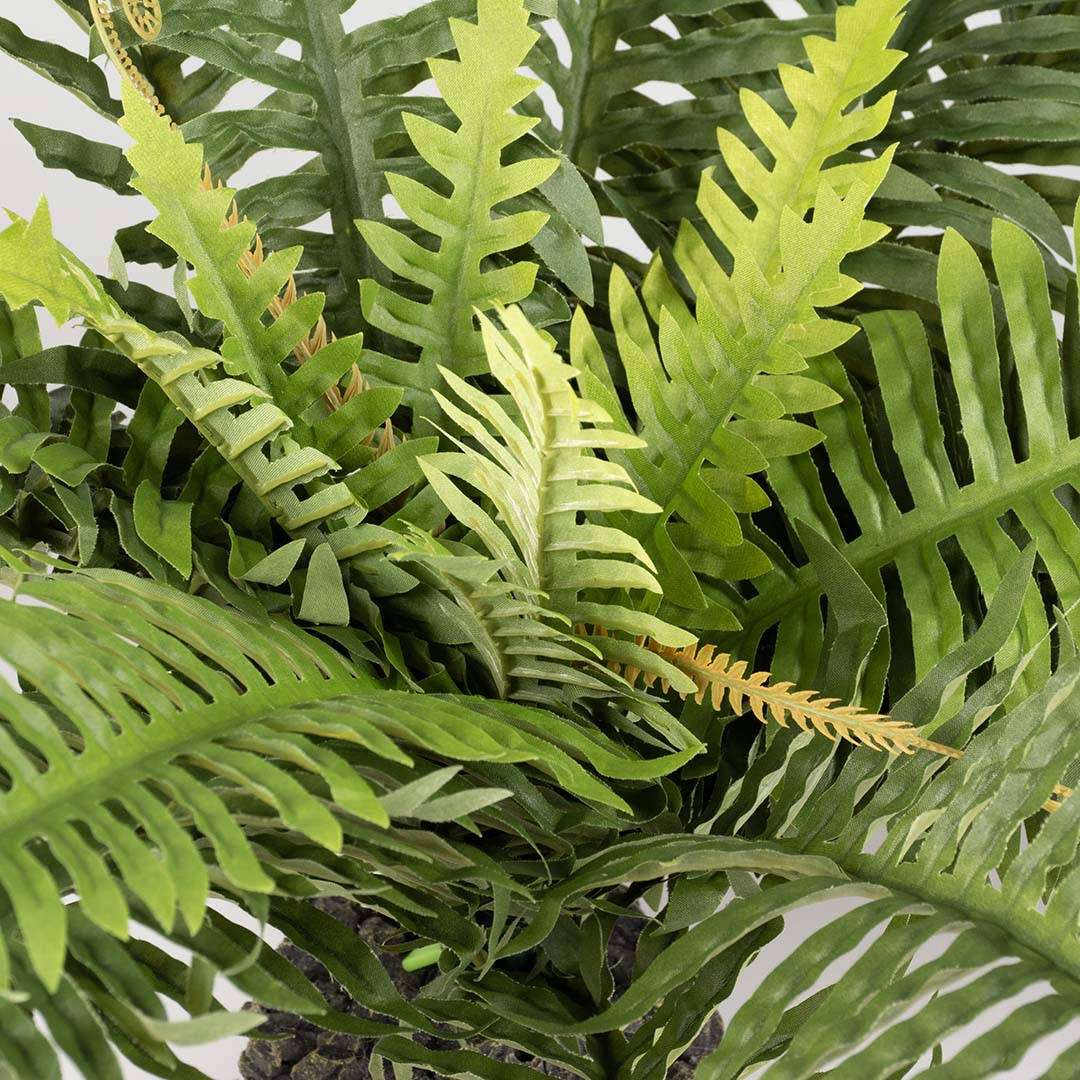 Plante artificielle fougère Vert - Detail 1