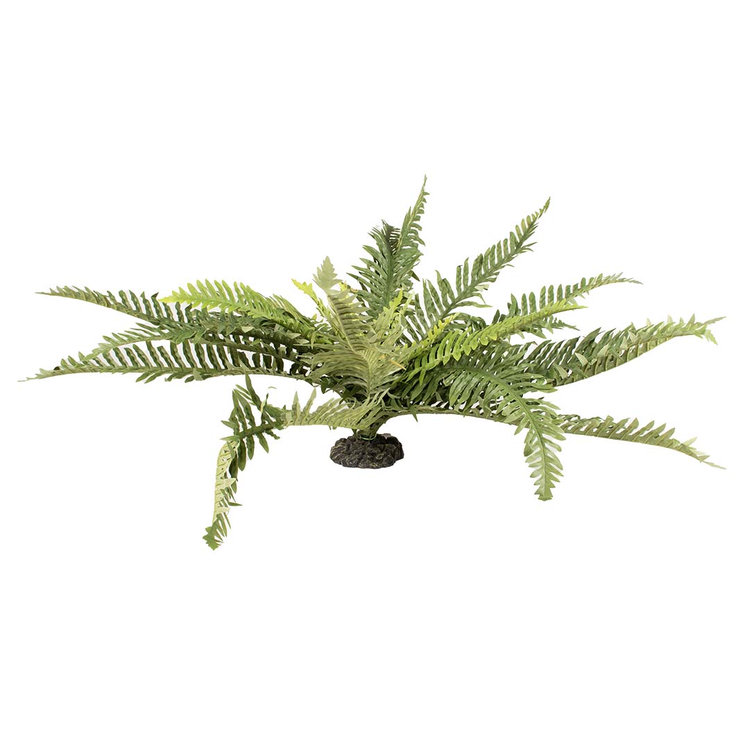 Plante artificielle fougère Vert - Facing