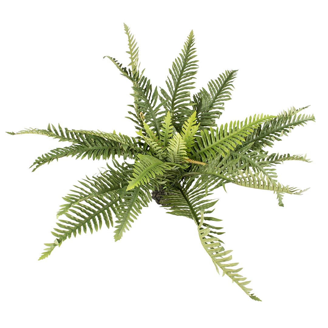 Plante artificielle fougère Vert - Product shot