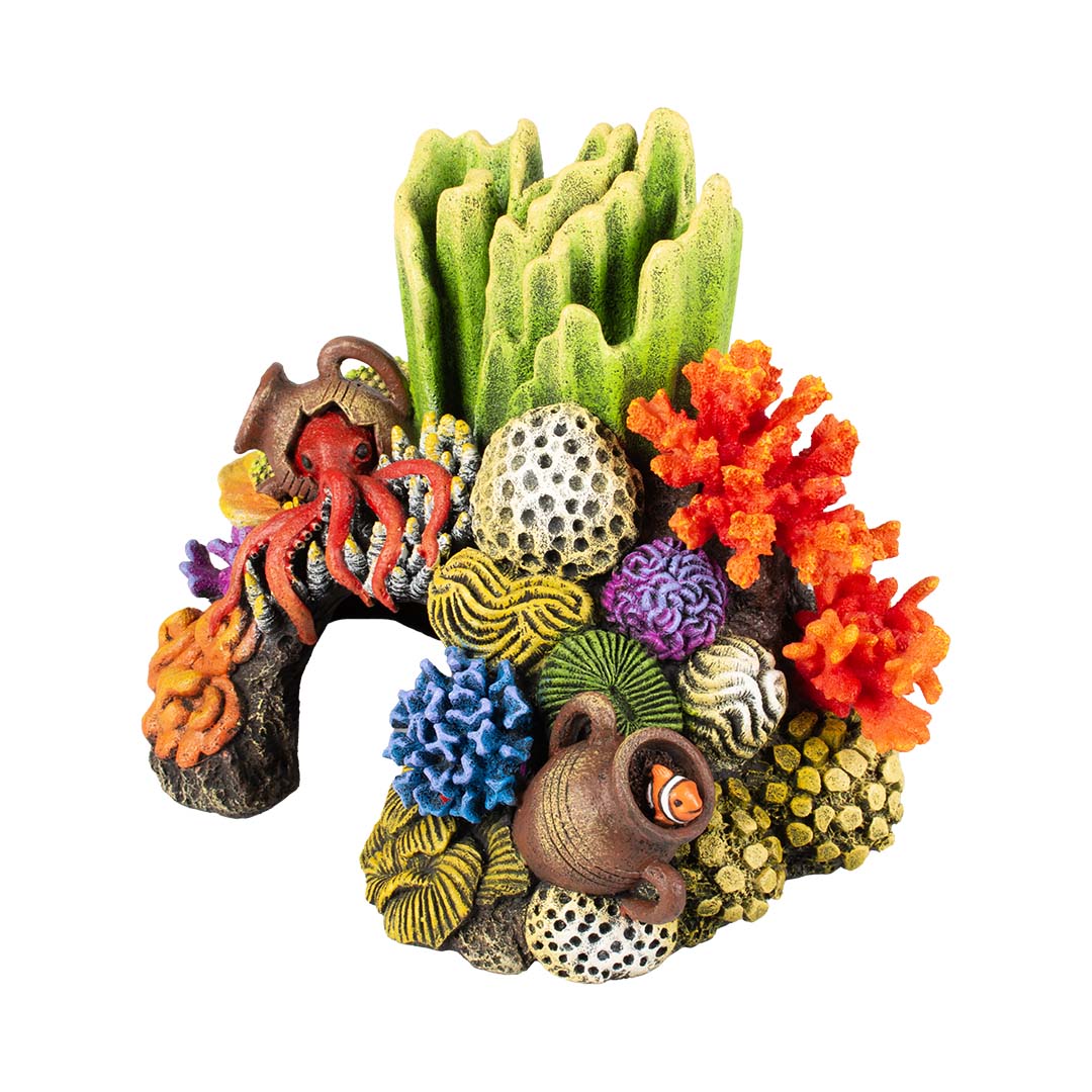 Koraalgrot recht Meerkleurig - <Product shot>