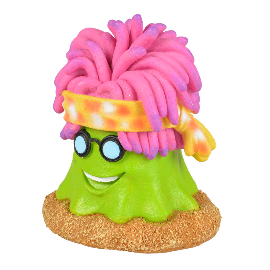 Hippie anemoon Meerkleurig - Product shot