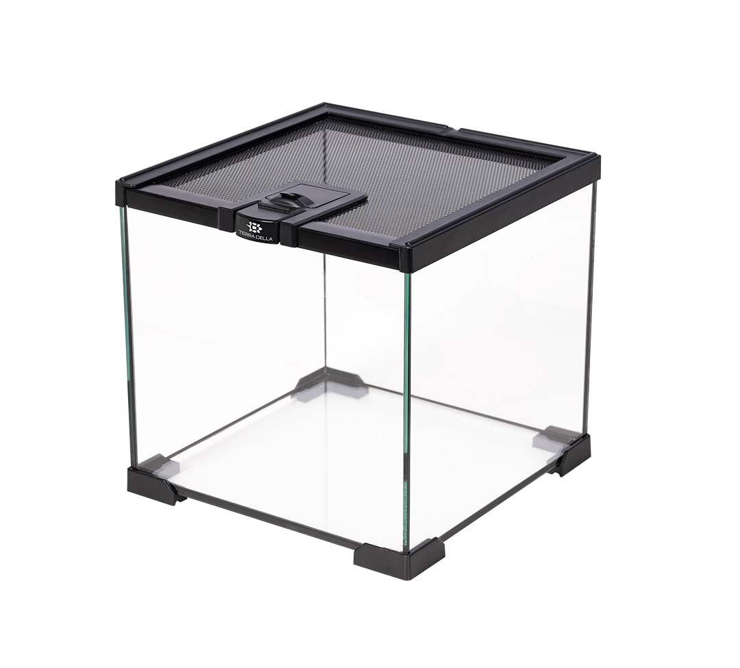 Terrarium glas Zwart - <Product shot>