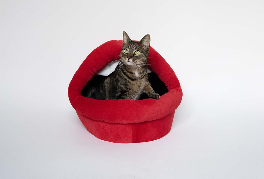 Kattenhuisje Meow Mouth Rood - Sceneshot 3