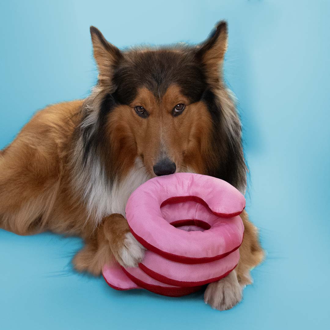Tug toy Ringo Reggie Mixed colors - Laroy Group